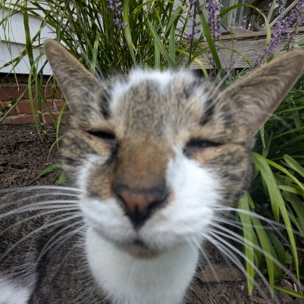 Meet your Posher, Marion